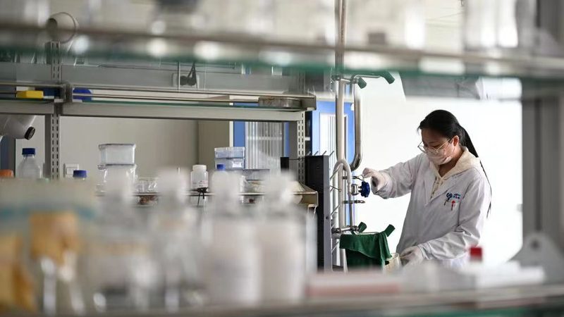 中药饮片加工工艺流程揭秘：从原料到成品的蜕变之旅