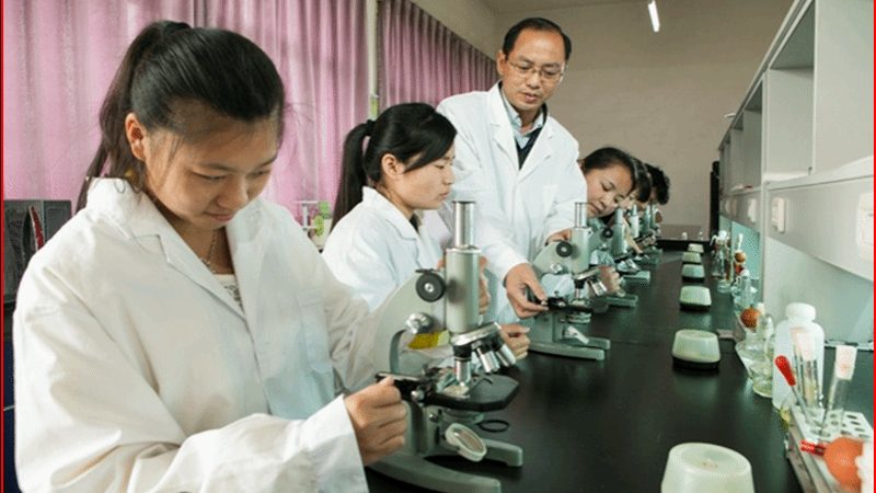注射用药用辅料：揭秘其背后的关键角色**
