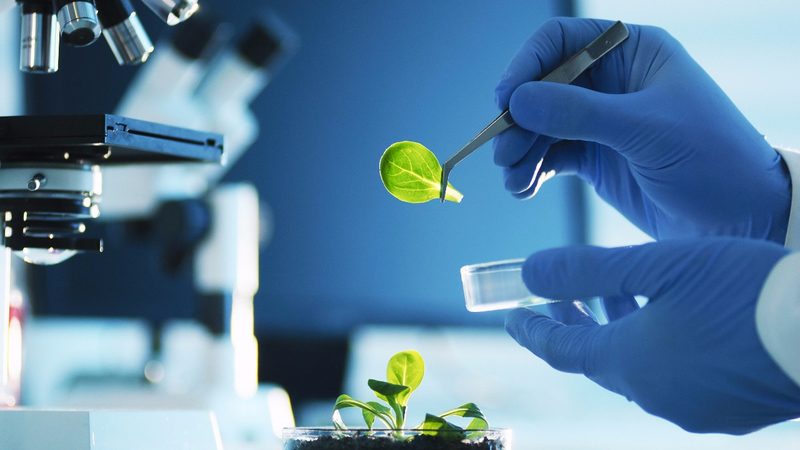 植物提取物化妆品原料：揭秘其价值与应用