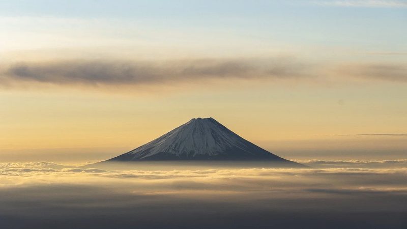 中药提取物定制：适用行业与关键考量