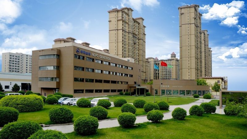 植物提取物规格参数表揭秘：如何正确识别优质产品